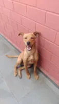 Bob