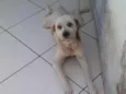 Boby