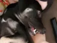 Jack