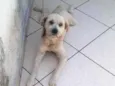 Boby