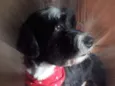 Tom