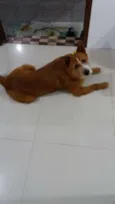 Mel