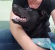 Fiapo