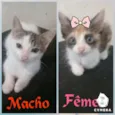 Fred e Mel