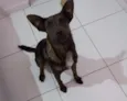 Kira