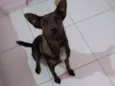 Kira