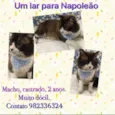 Napoleão