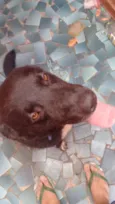 Murdook