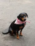 nina