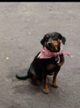 nina