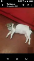 Lulu