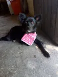 Nina