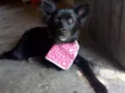 Nina