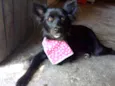 Nina