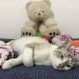 Pablo
