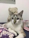 Pablo