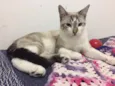 Pablo