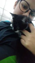 Tico / Tieta / Bolt