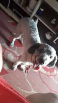 Spike