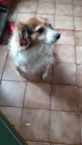 Billy
