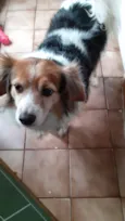 Billy