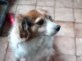 Billy