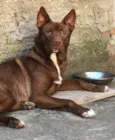 Logan 