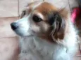 Billy