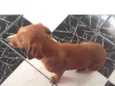Bob 