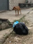 Não sei