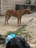 Não sei