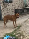 Não sei