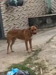 Não sei