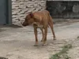 Não sei