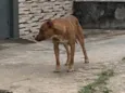 Não sei
