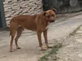 Não sei