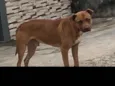 Não sei