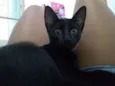 Shadow