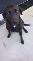 Lola
