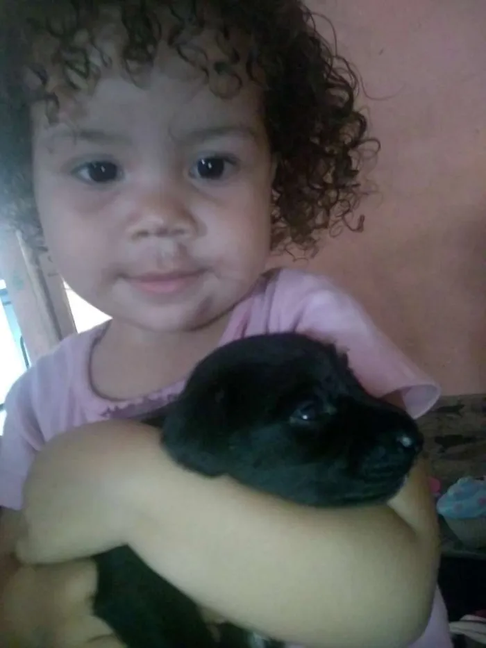 Cachorro ra a vira lata idade Abaixo de 2 meses nome sem nome