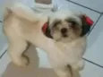 Shelly