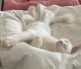 MARIE