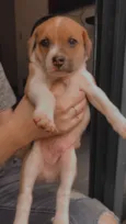 Dudu