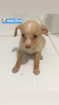 Não tem nomes ainda