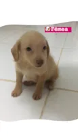 Não tem nomes ainda