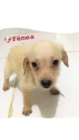Não tem nomes ainda