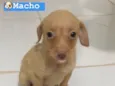 Não tem nomes ainda