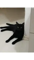 Banguela