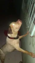 Não sei