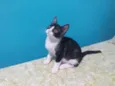 Tony